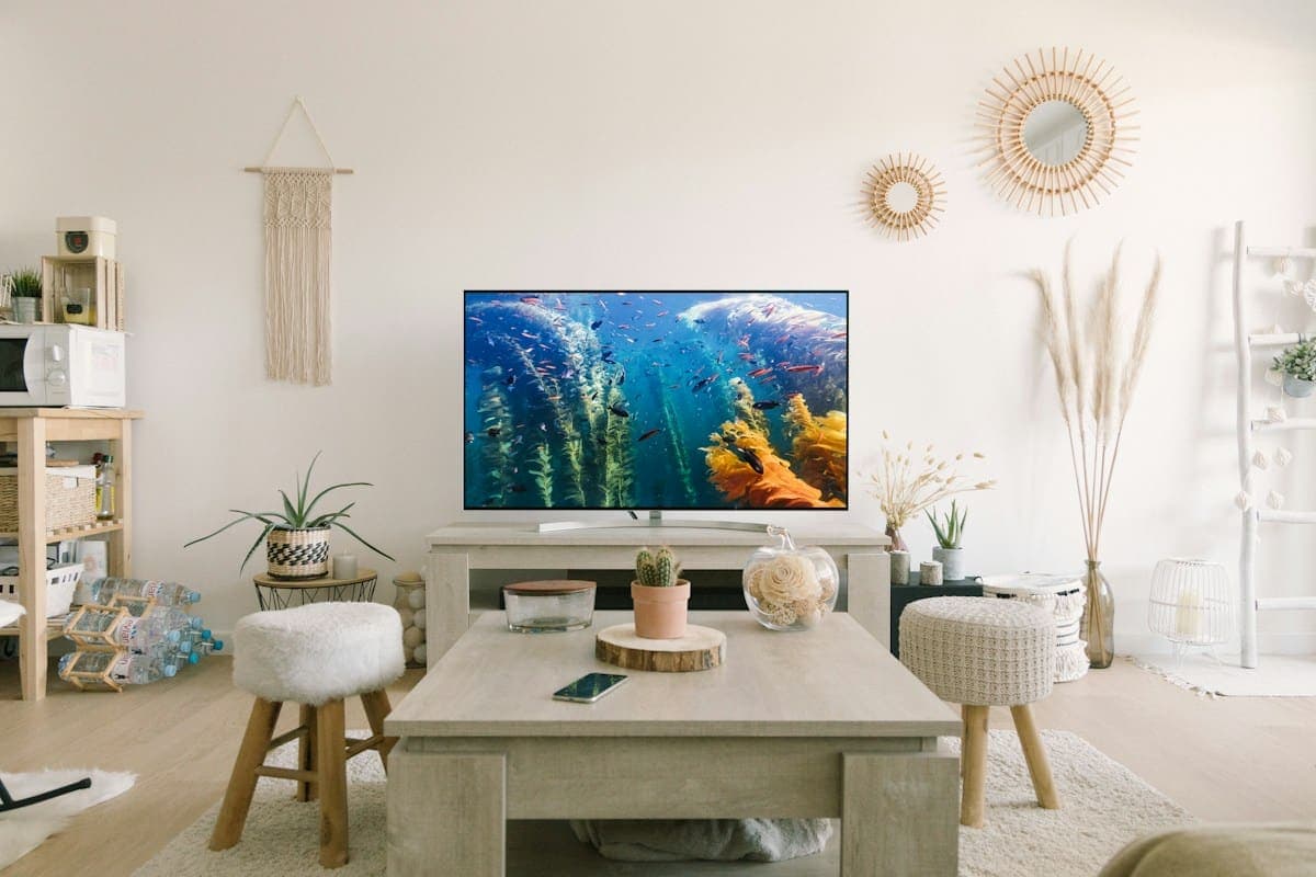 TV Repair